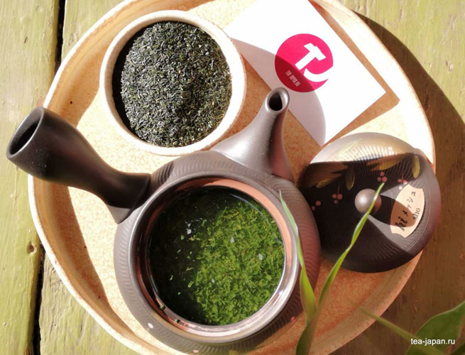 заварить зеленый чай просто